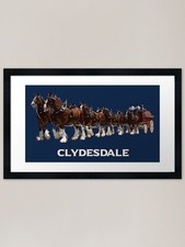 Clydesdale horse hitch framed - clydesdale,