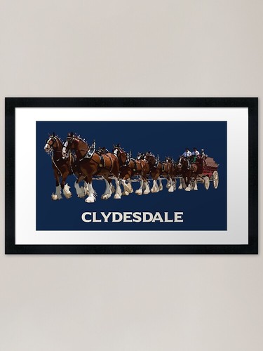 Clydesdale horse hitch framed - clydesdale,