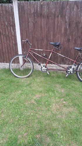 Tandem bicycle - tandem,