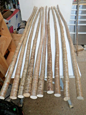 Hazel walking stick shanks X10