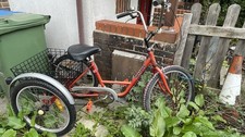 Adults Red Trike
