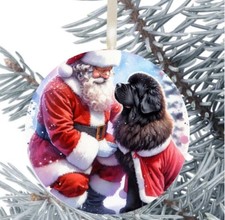 Newfoundland Dog Hanging