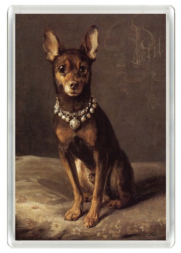 Miniature pinscher dog fridge - pinscher,