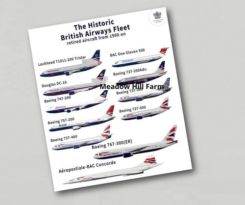 Fridge magnet airliner - fridge,
