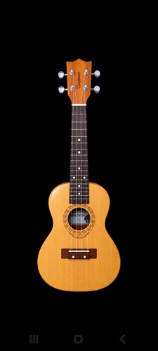 Tanglewood tiare twt4 concert - tanglewood,
