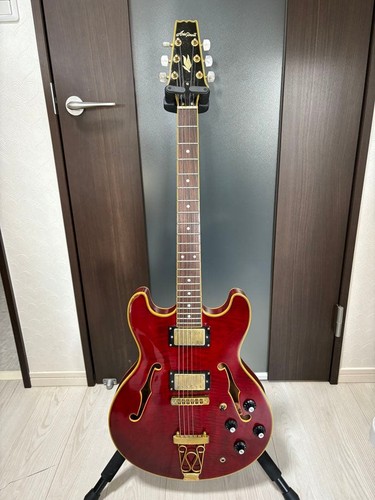 Aria pro semi acoustic - aria, semi-acoustic