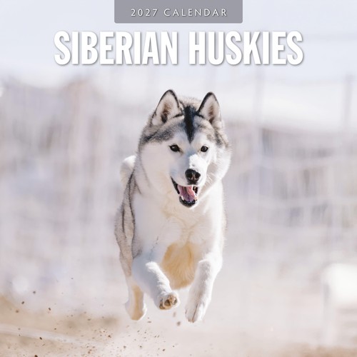 Siberian huskies 2027 - siberian,