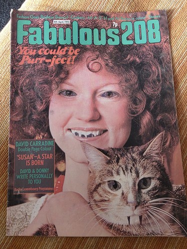 Fabulous 208 magazine - 208,