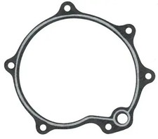 Water pump O-ring seal 356.433