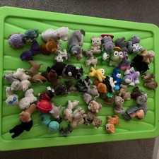 Puppy Kitty Jungle In My