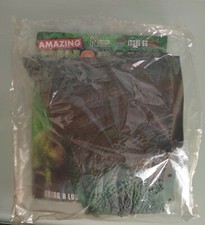Amazing Dinosaur Discovery