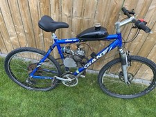 Giant Mountain Bike Petrol