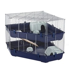 Rabbit guinea pig large - pig, indoor
