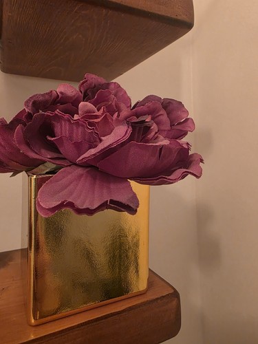 Stunning deep plum - ​stunning,