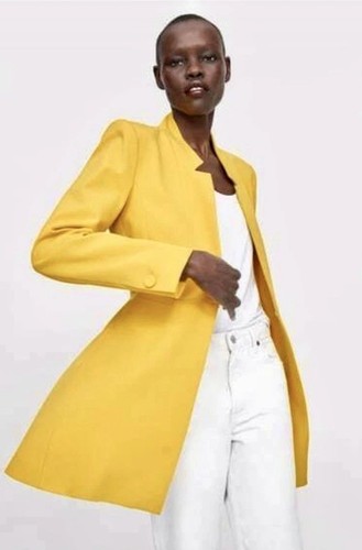 Nwot zara inverted lapel - inverted,