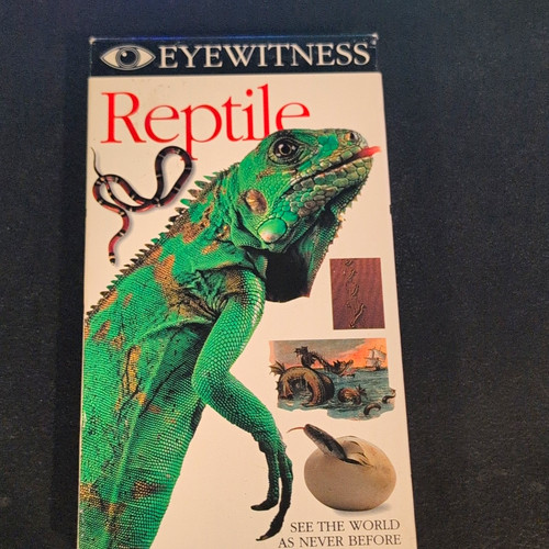 Bbc eyewitness reptile - eyewitness:,