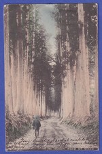 Japan 1904 old postcard Wanderer in the wood mailed from KIOTO to Germany