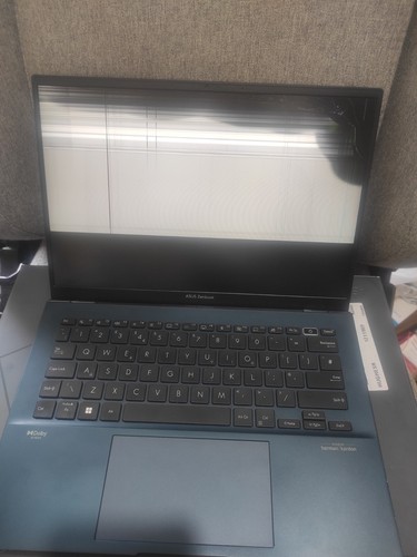 Asus zenbook oled - zenbook, 14