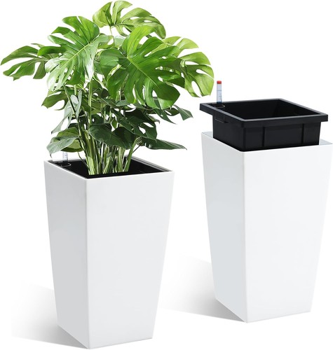 Set tall rectangular - of,