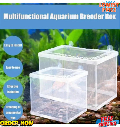 Aquarium fish tank guppy - s/l,