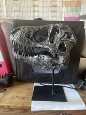 Replica Tyrannosaurus Rex