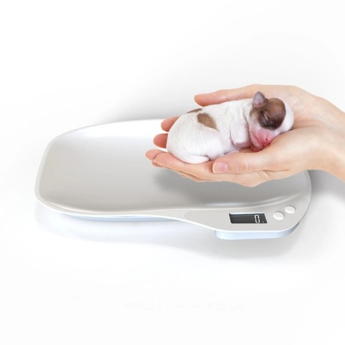 Pet scale digital - weight,