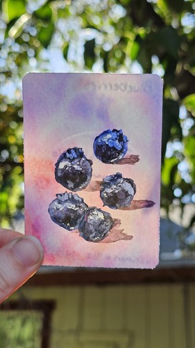 Aceo signed print blueberries - aceo,