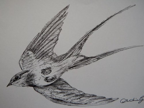 Original small hand - drawn, pen