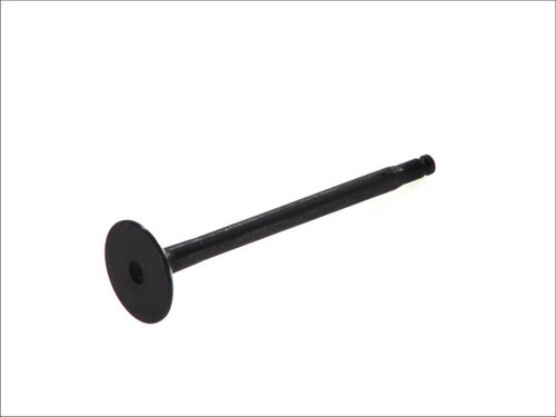 Intake valve 6173 snt fits - intake,