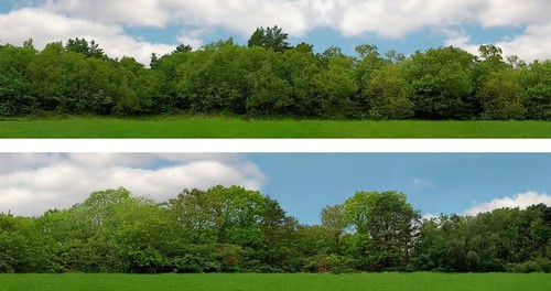 Scenic backgrounds tall - scenic,