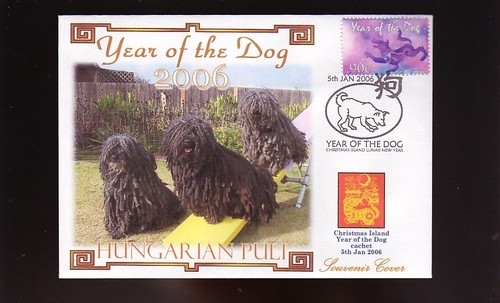 Hungarian puli 2006 year - puli,