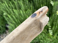 43cm Long FLAT DRIFTWOOD CHARACTER PIECE Sea Wood Art Sign Beach Hut Shelf Rust