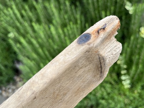 43cm long flat - 43cm,