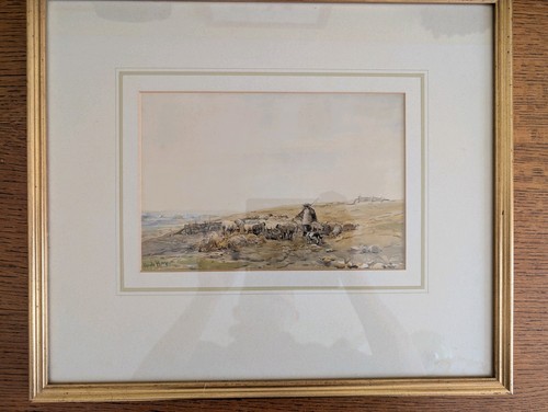 Claude hayes antique - claude,