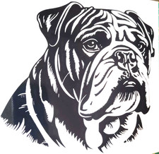 1x English Bulldog Dog Decal