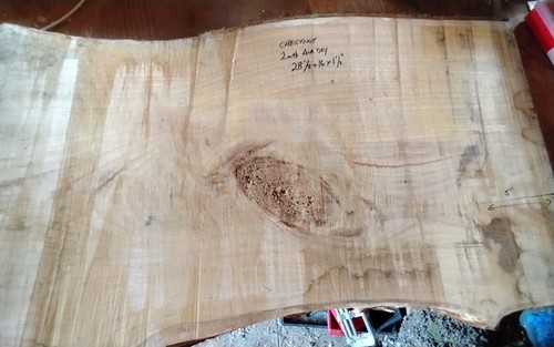 Sweet chestnut slab chopping - sweet,