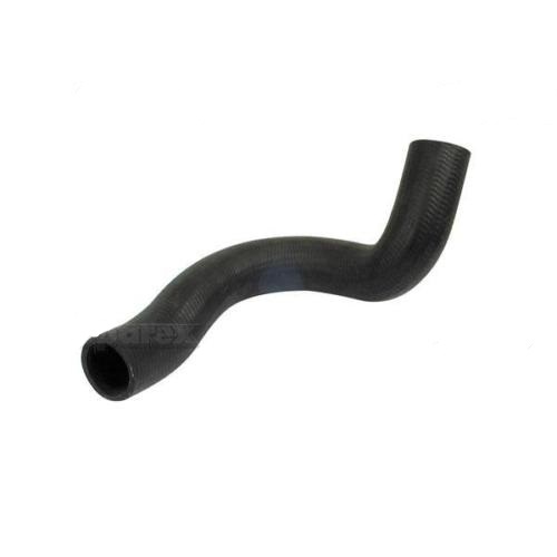 David brown 1494 1490 - brown, bottom