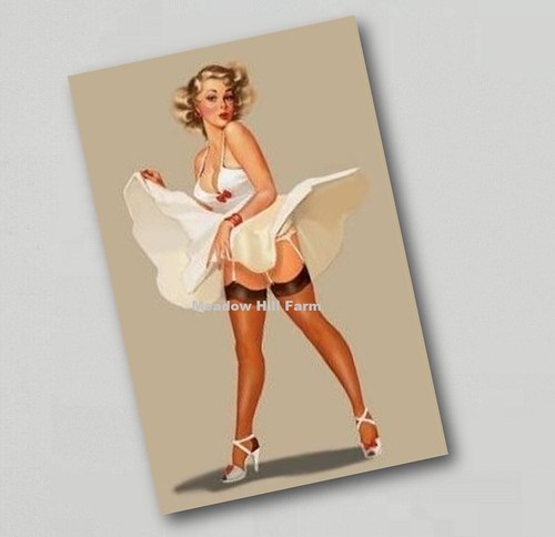 Fridge magnet pin girl - magnet,