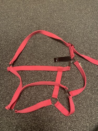 Bright pink hkm - bright,