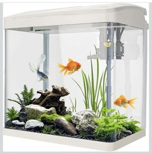 Fish Tank Aquarium