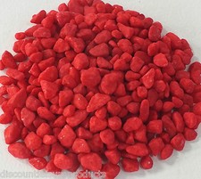 Coloured Aquarium Fish Tank