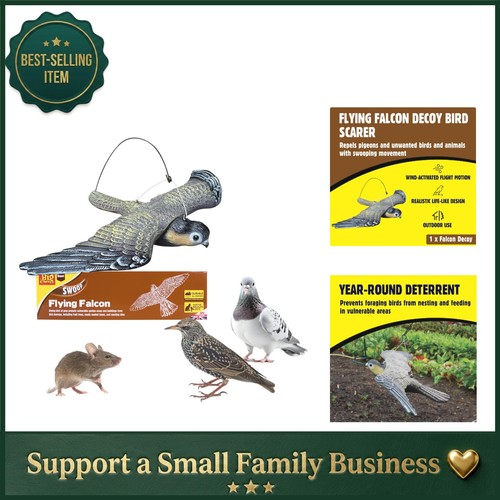 Versatile flying falcon - versatile, bird