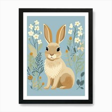 Baby Animal Illustration  Hare