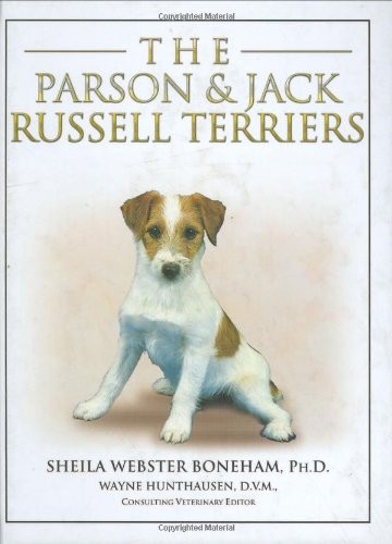 The parson jack russell - the,