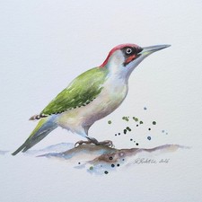 Green Woodpecker Original