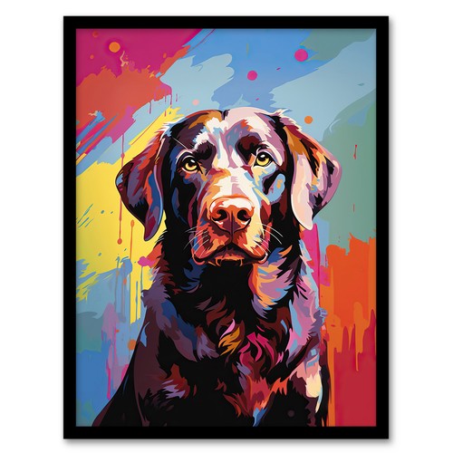 Chocolate labrador retriever - chocolate,