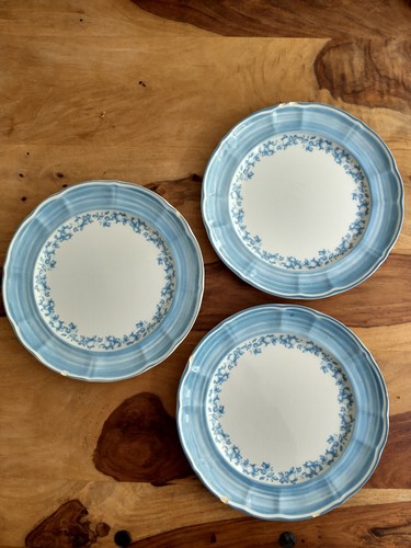 Chipped dinner plates - dinner,