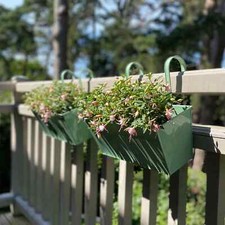 2 x Balcony Planters for
