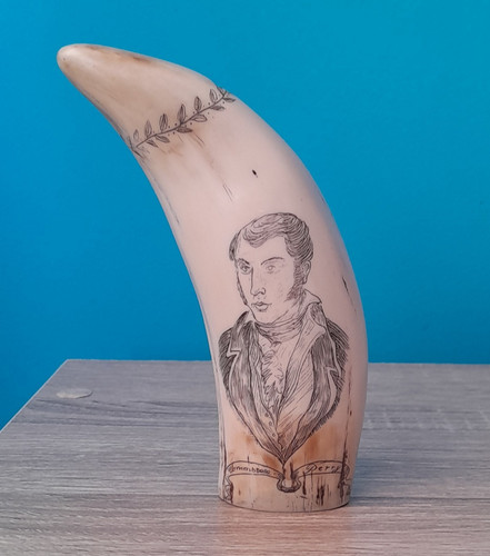 Scrimshaw replica whale tooth - scrimshaw,