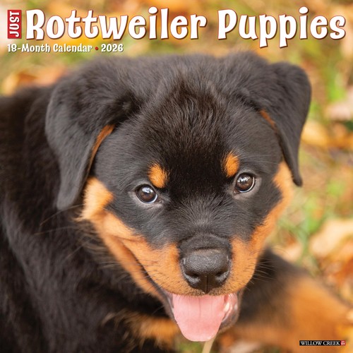 Rottweiler puppies 2026 x - puppies,